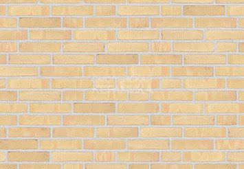 Клинкерный состаренный кирпич Randers Tegl Classica RT 215, ECO-DNF 228X50X54 мм 4