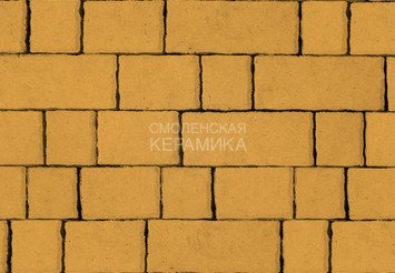 Тротуарная плитка STEINRUS Старый Город желтый, 60 мм 1