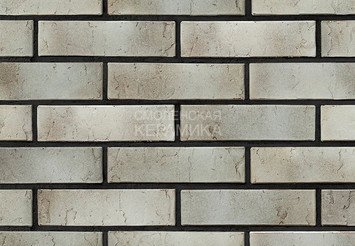 Кирпич керамический BRAER PRO 72.03, 0,7 НФ 1