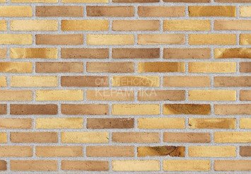 Клинкерный состаренный кирпич Randers Tegl Fusion RT 570, DNF 228X108X54 мм 1