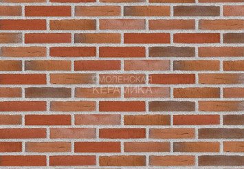 Клинкерный состаренный кирпич Randers Tegl Classica RT 436, ECO-DNF 228X50X54 мм 1