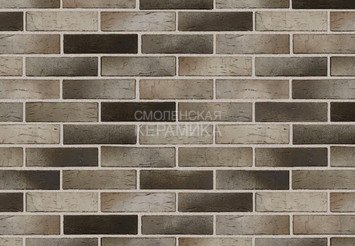 Кирпич керамический BRAER PRO 14.04.1, 1 НФ 4