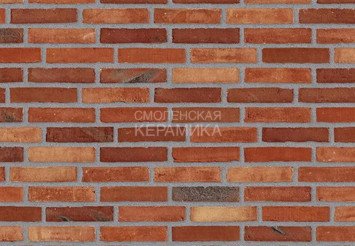 Клинкерный состаренный кирпич Randers Tegl Fusion RT 571, DNF 228X108X54 мм 3