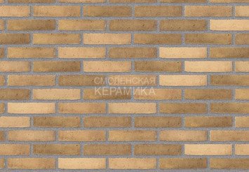 Клинкерный состаренный кирпич Randers Tegl Prima RT 495, DNF 228X108X54 мм 2