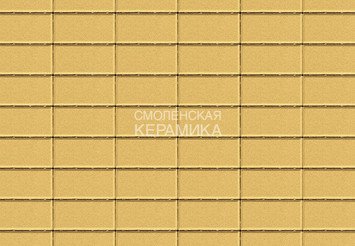 Тротуарная плитка BRAER Прямоугольник Песочный, 60 мм 1