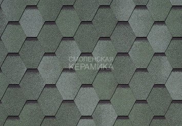 Гибкая черепица TEGOLA BUSINESS PLUS Mosaik Olive 471 1