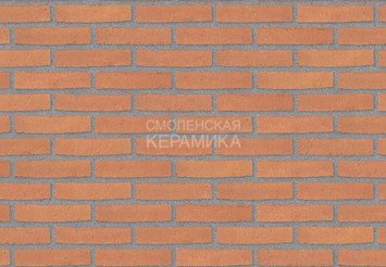 Клинкерный состаренный кирпич Randers Tegl Classica RT 435, ECO-DNF 228X50X54 мм 2