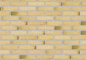 Клинкерный состаренный кирпич Randers Tegl Classica RT 412, DNF 228X108X54 мм 1