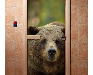 Дверь бан. DW (с фотопечатью) 1900*700 кор. ольха А065 левая