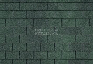 Гибкая черепица TEGOLA BUSINESS PLUS Rectangular Olive sfumato 070 1