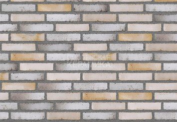 Клинкерный состаренный кирпич Randers Tegl Fusion RT 575, DNF 228X108X54 мм 4