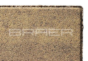 Тротуарная плитка BRAER 