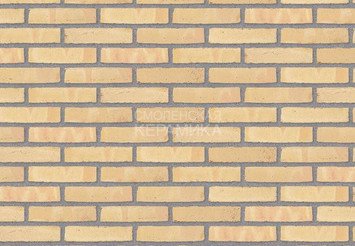 Клинкерный состаренный кирпич Randers Tegl Classica RT 215, ECO-DNF 228X50X54 мм 3