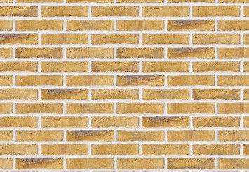 Клинкерный состаренный кирпич Randers Tegl Unika RT 532, DNF 228X108X54 мм 3