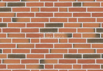 Клинкерный состаренный кирпич Randers Tegl Classica RT 418, DNF 228X108X54 мм 1