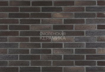 Клинкерный состаренный кирпич Randers Tegl Unika RT 551, DNF 228X108X54 мм 4