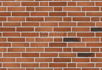 Клинкерный состаренный кирпич Randers Tegl Unika RT 526, DNF 228X108X54 мм 4