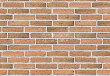 Клинкерный состаренный кирпич Randers Tegl Classica RT 433, ECO-DNF 228X50X54 мм 2