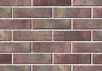 Кирпич керамический BRAER PRO 13.13, 1 НФ 2