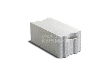 Блок из ячеистого бетона Забудова D500 600х125х250 1