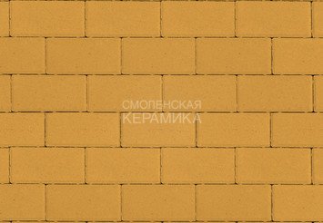 Тротуарная плитка STEINRUS Прямоугольник Лайн желтый, 80 мм 1