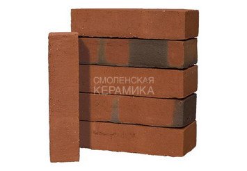 Клинкерный состаренный кирпич Randers Tegl Classica RT 406, ECO-DNF 228X50X54 мм 5