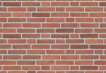 Клинкерный состаренный кирпич Randers Tegl Classica RT 448, ECO-DNF 228X50X54 мм 4