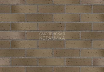 Клинкерная плитка TERRAMATIC Moon Brown AA2409 3