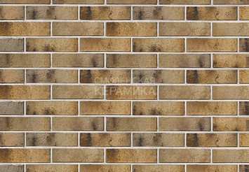 Кирпич керамический BRAER PRO 3.03 1 НФ 4