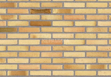 Клинкерный состаренный кирпич Randers Tegl Fusion RT 573, DNF 228X108X54 мм 4