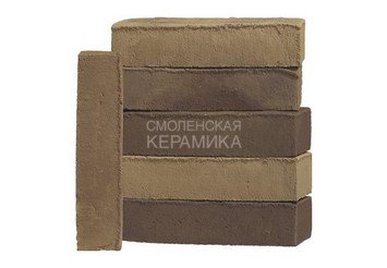 Клинкерный состаренный кирпич Randers Tegl Unika RT 531, DNF 228X108X54 мм 5