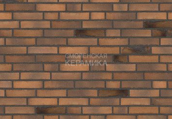 Клинкерный состаренный кирпич Randers Tegl Unika RT 534, DNF 228X108X54 мм 4