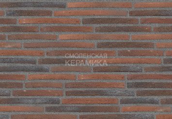 Клинкерный кирпич ригель (узкий) формата Randers Tegl Ultima RT 158, ECO-Riegel 468X50X38 мм 3