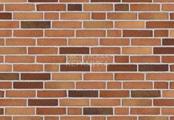 Клинкерный состаренный кирпич Randers Tegl Prima RT 499, DNF 228X108X54 мм 4