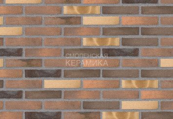 Клинкерный состаренный кирпич Randers Tegl Fusion RT 572, DNF 228X108X54 мм 1