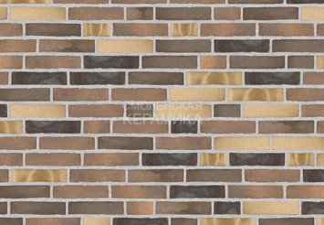 Клинкерный состаренный кирпич Randers Tegl Fusion RT 572, DNF 228X108X54 мм 3