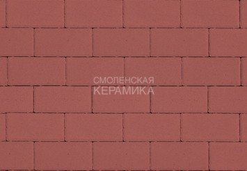 Тротуарная плитка STEINRUS Прямоугольник красный, 80 мм 1