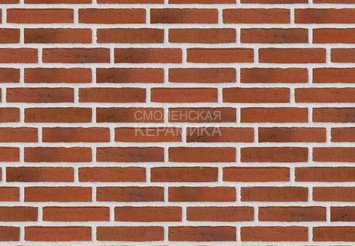 Клинкерный состаренный кирпич Randers Tegl Classica RT 481, ECO-DNF 228X50X54 мм 3