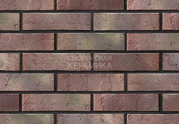 Кирпич керамический BRAER PRO 13.13, 1 НФ 1