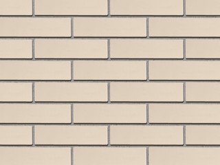 Кирпич лицевой керамический ЖКЗ Белый Гладкий 1НФ полнотелый