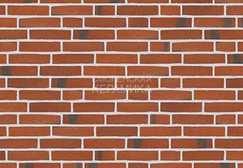 Клинкерный состаренный кирпич Randers Tegl Classica RT 406, ECO-DNF 228X50X54 мм 4