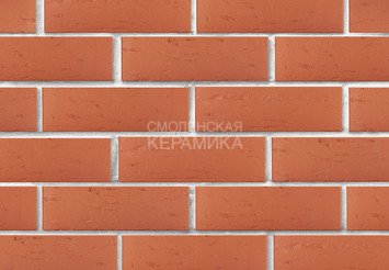 Кирпич лицевой керамический ЛСР Красный рустик, 1НФ 2
