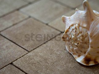 Брусчатка Steingot Серия "БАВАРИЯ" Травертин PROOF&CLEAN, 60 мм