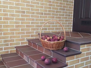 Ступень флорентинер угловая Stroeher 9331(316) patrizierrot ofenbunt