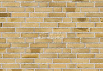 Клинкерный состаренный кирпич Randers Tegl Unika RT 532, DNF 228X108X54 мм 5