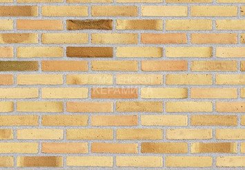 Клинкерный состаренный кирпич Randers Tegl Fusion RT 573, DNF 228X108X54 мм 1