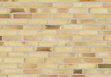 Клинкерный состаренный кирпич Randers Tegl Fusion RT 573, DNF 228X108X54 мм 5