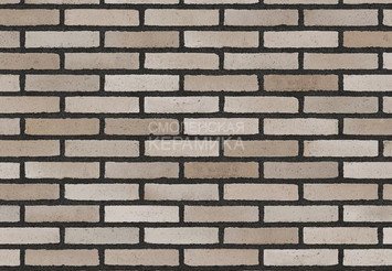 Клинкерный состаренный кирпич Randers Tegl Unika RT 554, DNF 228X108X54 мм 5