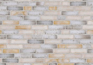 Клинкерный состаренный кирпич Randers Tegl Fusion RT 575, DNF 228X108X54 мм 5