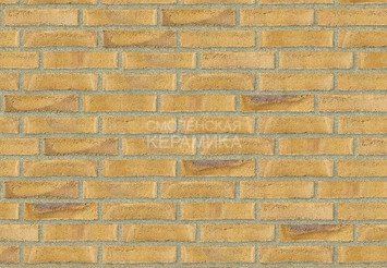 Клинкерный состаренный кирпич Randers Tegl Unika RT 532, DNF 228X108X54 мм 1